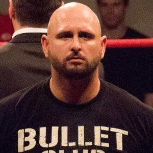 Karl Anderson