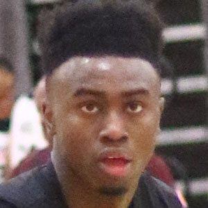 Jaylen Brown