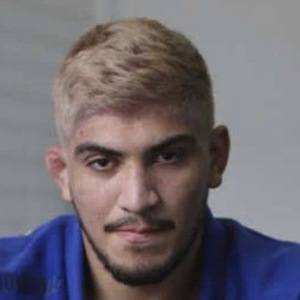 Dillon Danis