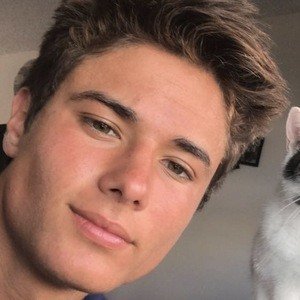 Ryan Gulya