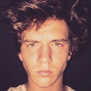 Noah Shackelford