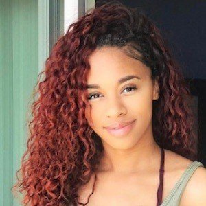 Taylor Stevens
