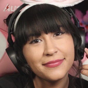 VbunnyGo
