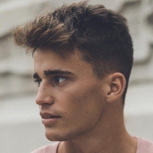 Albert Vicente